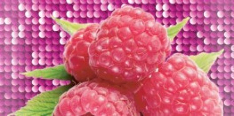 Beneficiile fructelor asupra frumusetii, in noua gama Gerovital Happiness