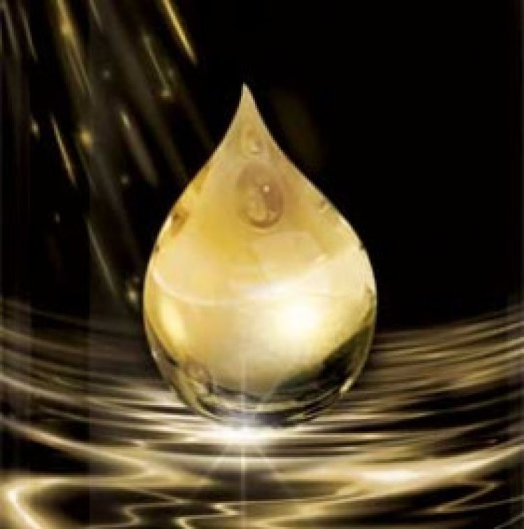Eleganta parfumului C-THRU Golden Touch - inspiratia oricarei femei